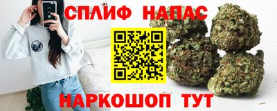 ПСИЛОЦИБИНОВЫЕ ГРИБЫ Можга