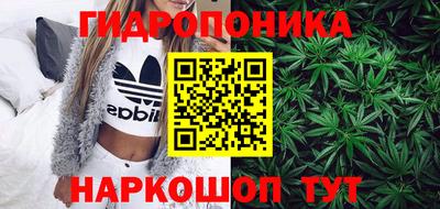 ПСИЛОЦИБИНОВЫЕ ГРИБЫ Можга