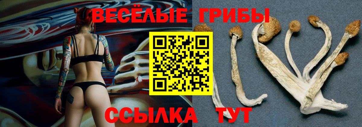 ГАШ Киров