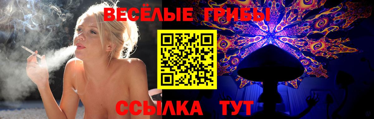 Галлюциногенные грибы прущие грибы Киров